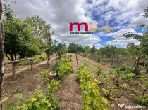 Casa+Teren 1500 mp,zona Taberei