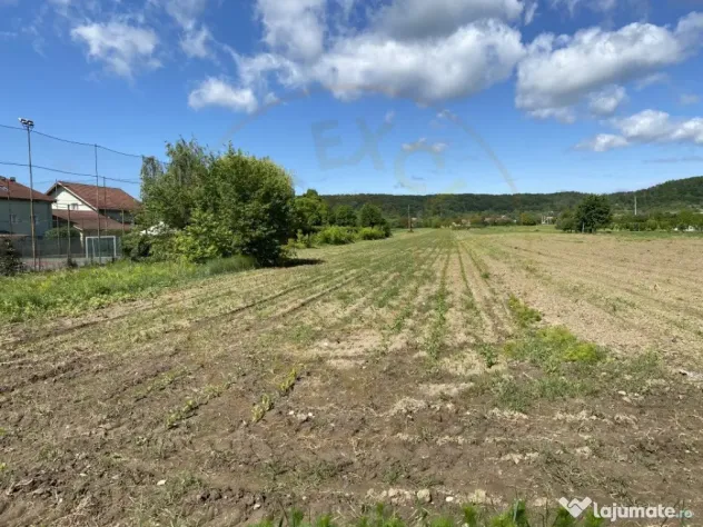 Teren intravilan 7.295 mp – Argeselu, Maracineni, AG
