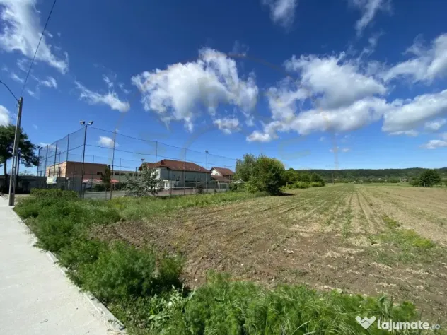 Teren intravilan 7.295 mp – Argeselu, Maracineni, AG