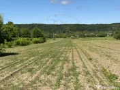 Teren intravilan 7.295 mp – Argeselu, Maracineni, AG 