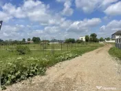 Domnești, Str Teiului, teren 1500mp, 40ml deschidere, utili 