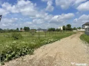 Domnești, Str Teiului, teren 1500mp, 40ml deschidere, utili 
