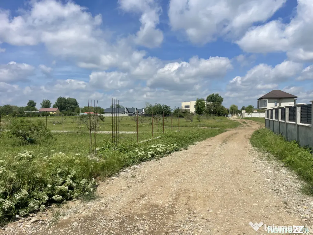 Domnești, Str Teiului, teren 1500mp, 40ml deschidere, utili