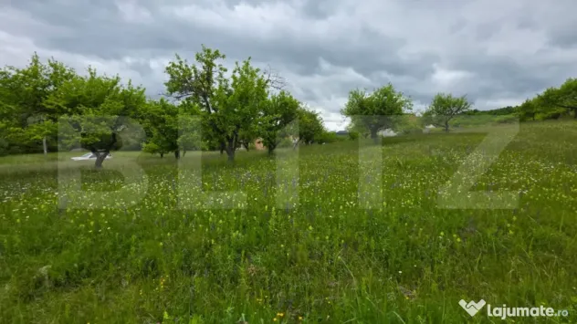 Teren intravilan, 34 ari intravilan, zona Unirea