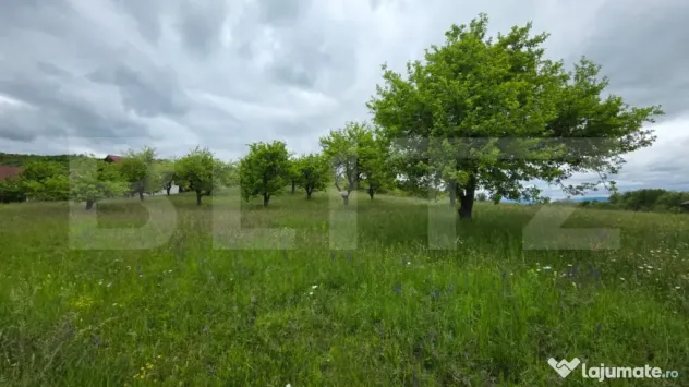 Teren intravilan, 34 ari intravilan, zona Unirea