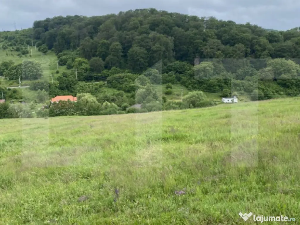 Teren cu potențial – 1000 mp pe Dealul Partizanilor