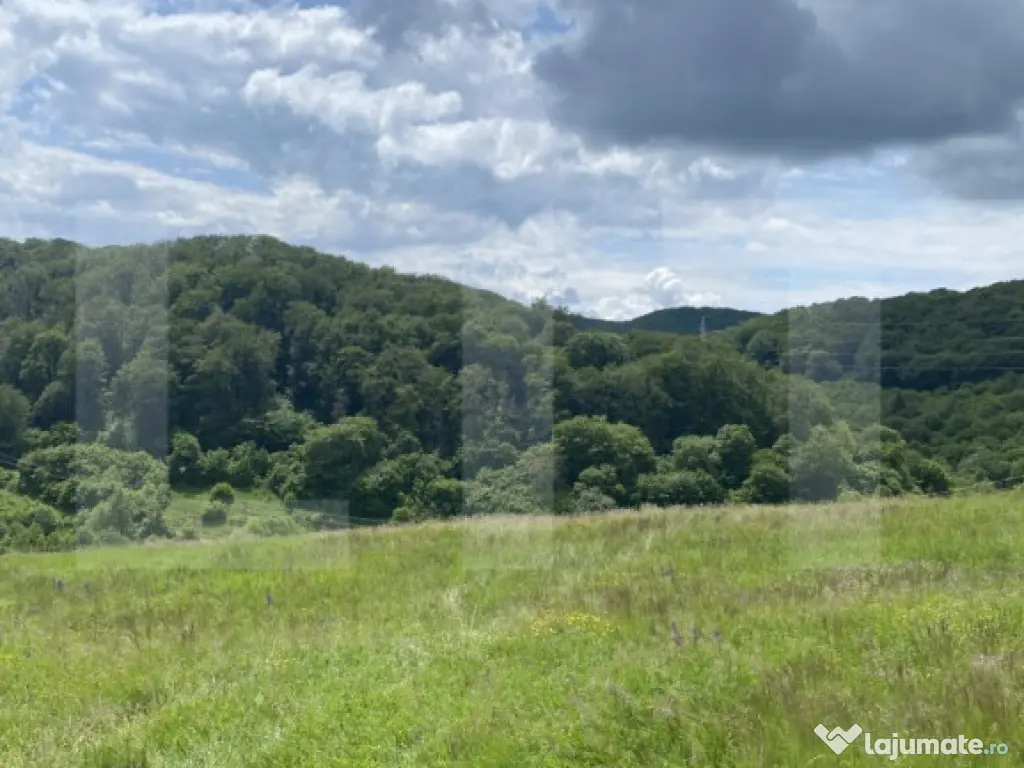 Teren cu potențial – 1000 mp pe Dealul Partizanilor