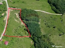 DE VÂNZARE – Teren intravilan 3 hectare, in Codrul But...