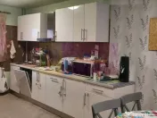 Săbăreni, casă 2011, P+M 4 camere + dependințe, curte... 