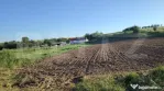 Teren ideal pentru constructie, 2722 mp in Ghercesti