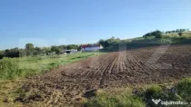 Teren ideal pentru constructie, 2722 mp in Ghercesti
