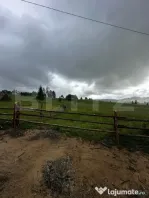 Teren de vânzare intravilan în Poiana Stampei, 2 hectare