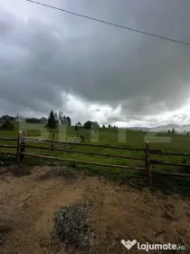 Teren de vânzare intravilan în Poiana Stampei, 2 hectare