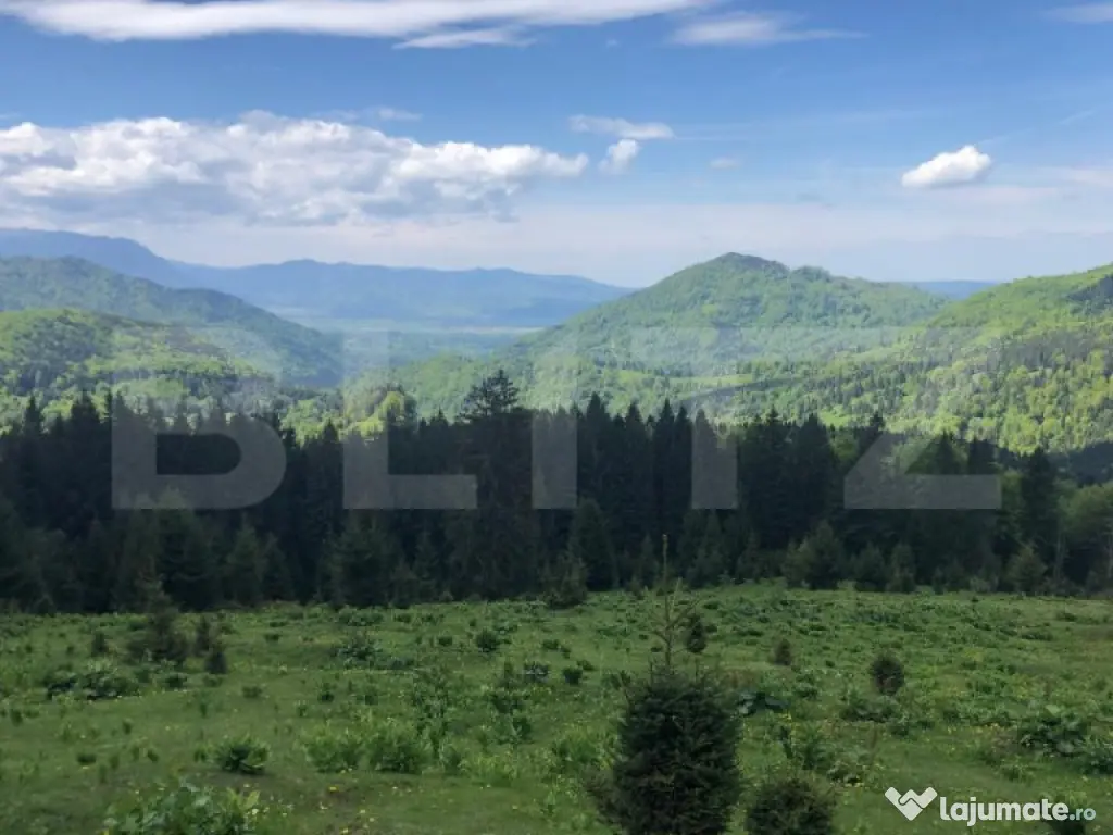 De vanzare, teren intravilan 10.000mp, Predeal