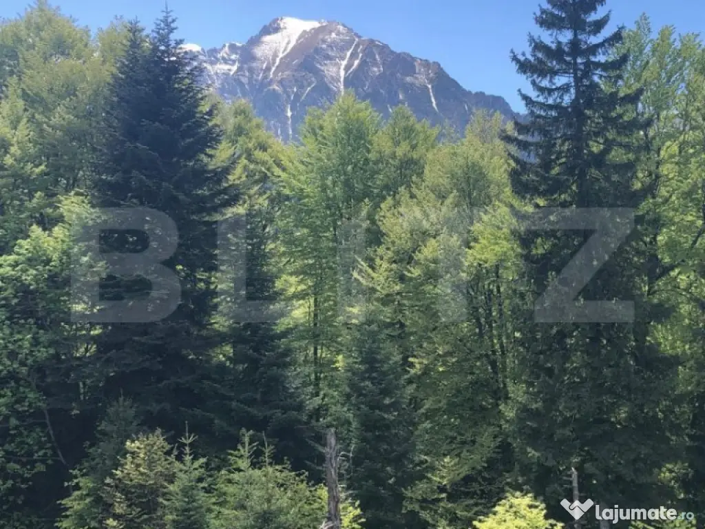 De vanzare, teren intravilan 10.000mp, Predeal