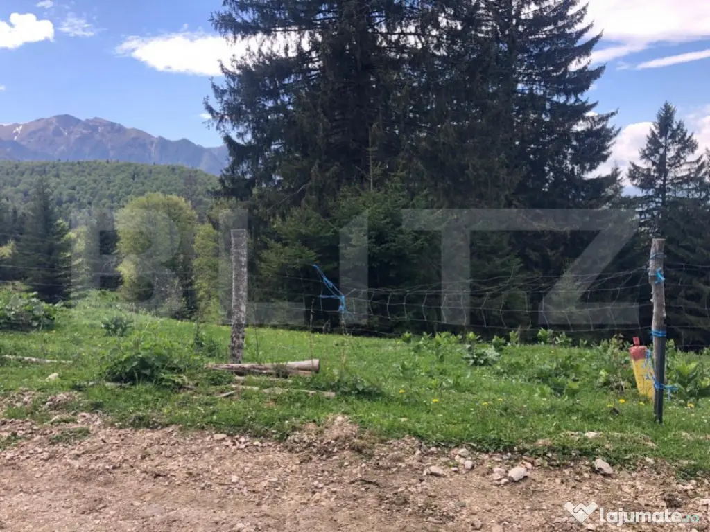 De vanzare, teren intravilan 10.000mp, Predeal