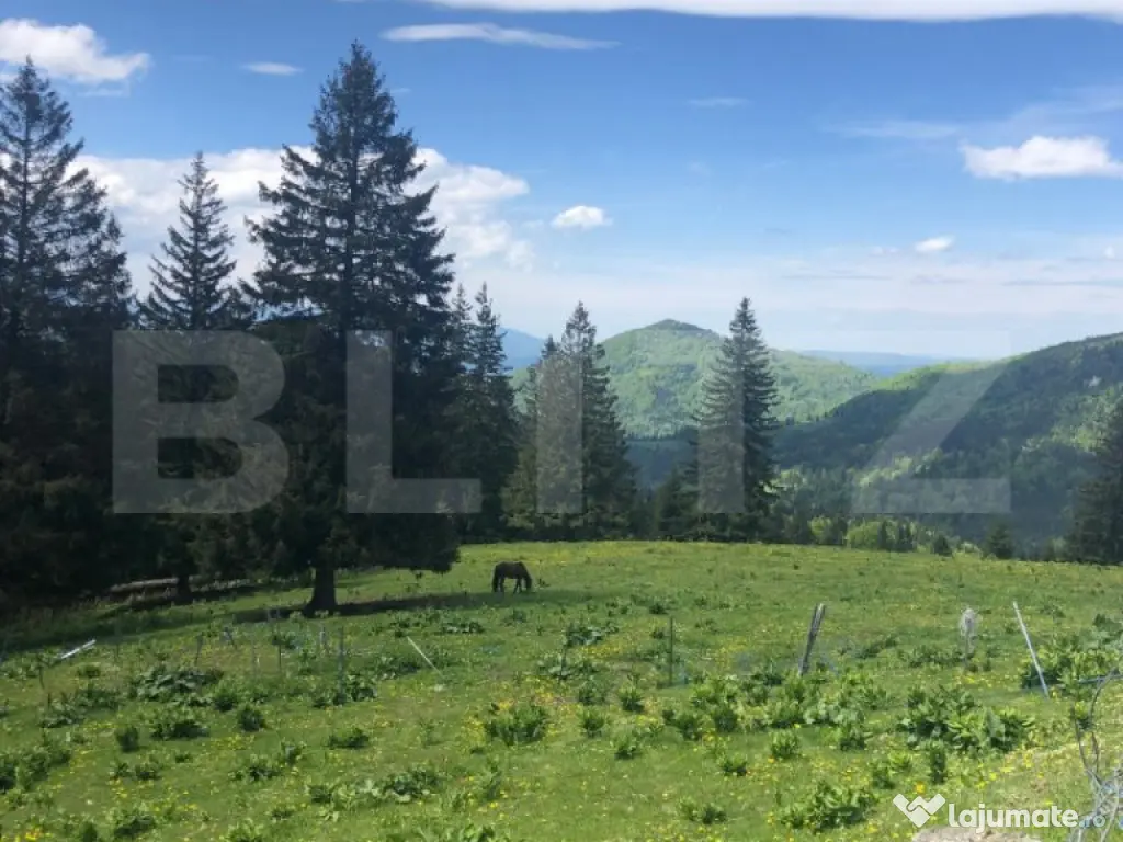 De vanzare, teren intravilan 10.000mp, Predeal