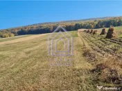 Teren constructie casa, Ilies, Dolhasca 