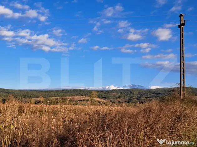 Teren extravilan cu potențial IMENS de dezvoltare în BĂC