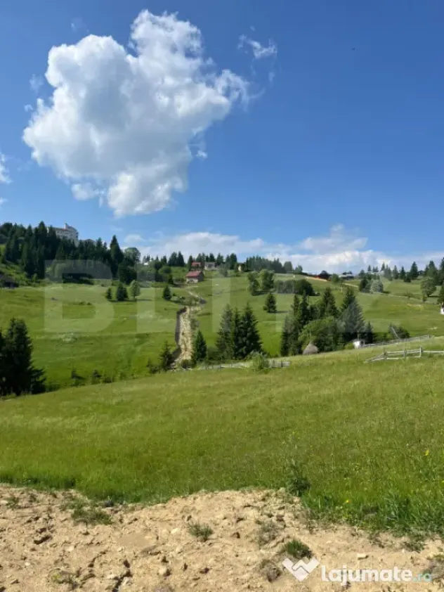 ????️ Oportunitate de Investiție Unică – Teren 1.800 m