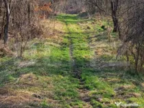 Casa cu o camera, 60 mp, in apropiere de Brad