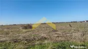Teren intravilan de in Vladimirescu