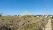Teren intravilan de in Vladimirescu