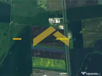 Teren extravilan de drumul Arad-Sofronea