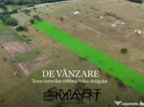 Teren intravilan 5000mp Valea Avrigului