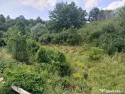 Resita, Terenuri Intravilane 2000 Mp., 20 Euro/Mp., Calea Ca 