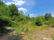 Resita, Terenuri Intravilane 2000 Mp., 20 Euro/Mp., Calea Ca 