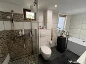 Lugoj, Vila de Vis Cu Piscina, 440 Mp. Construiti, 820 Mp. 