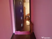 Vila cu 8 Camere in zona centrala Scriitorilor - Zizin 