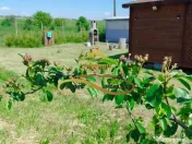 Teren cu Zonă Intravilană, Bacau-Lilieci, 1200 mp 