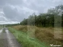 Teren cu potențial rezidențial – Simeria, Sfântu Gheorg