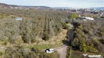 Teren cu potențial rezidențial – Simeria Veche, Sfântu