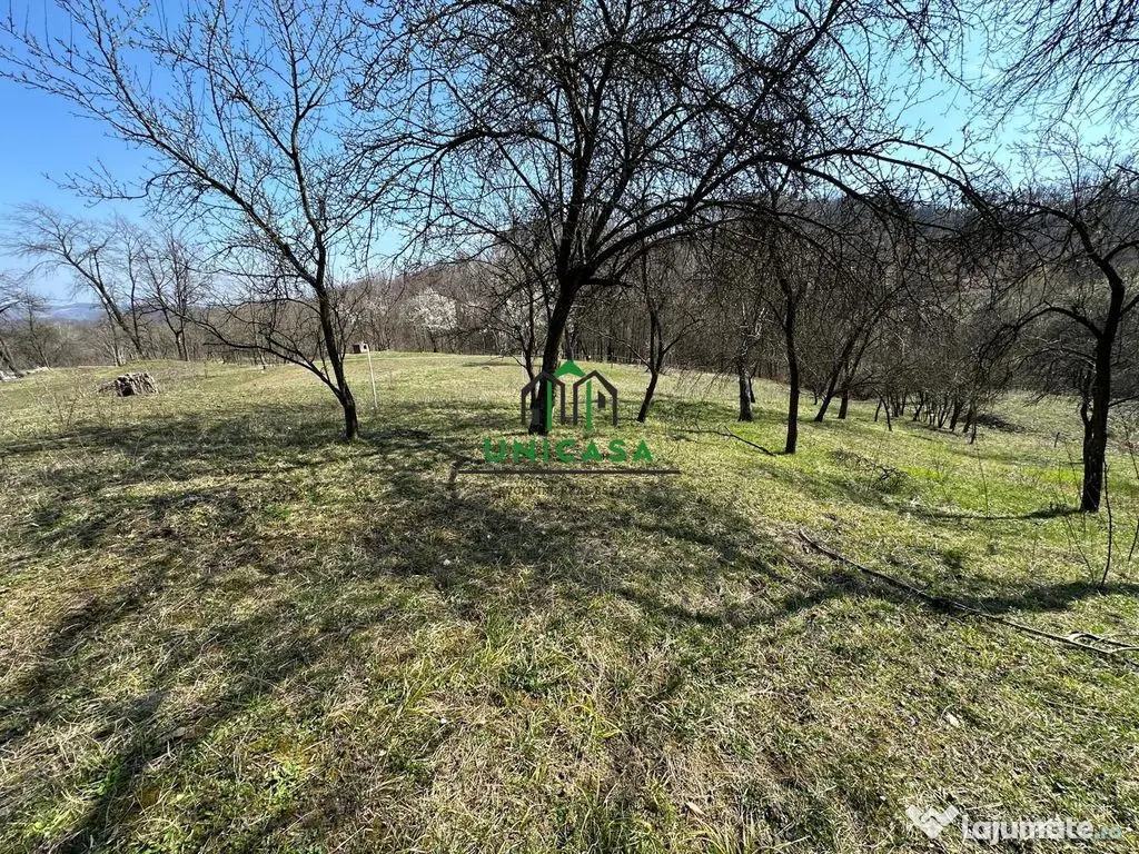 Teren Govora / 8131mp