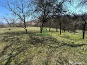 Teren Govora / 8131mp 