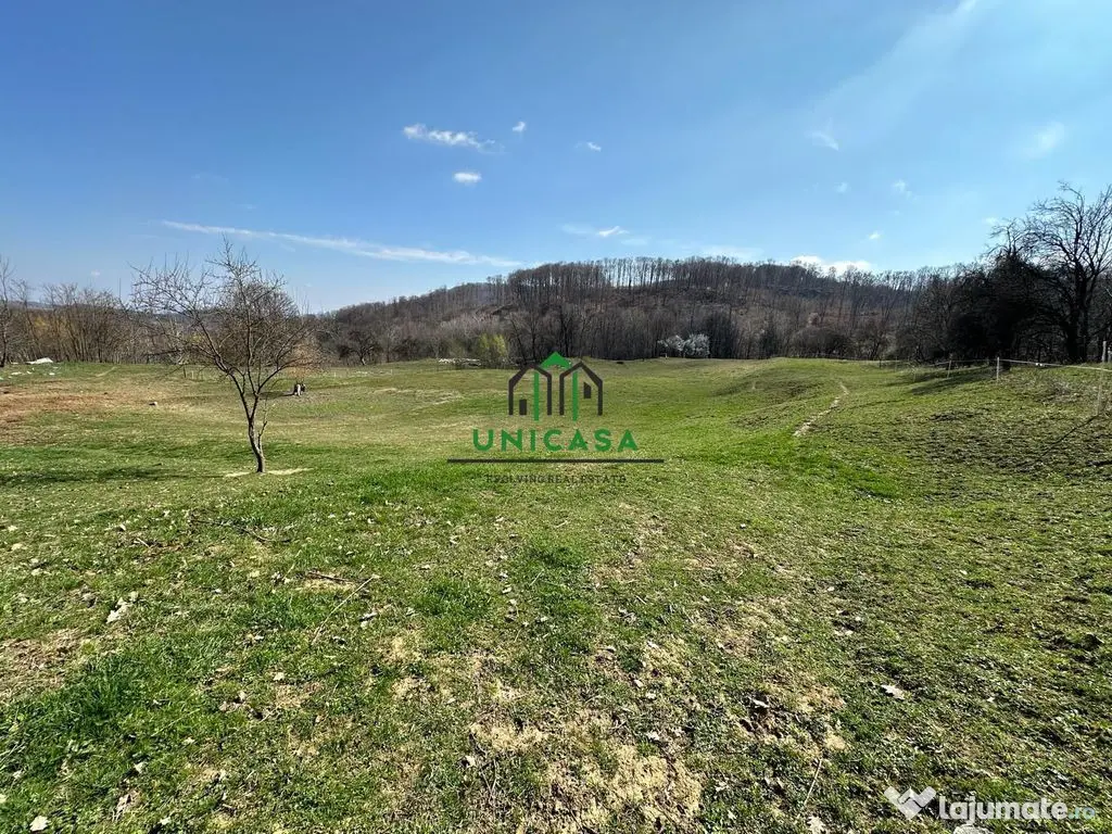 Teren Govora / 8131mp