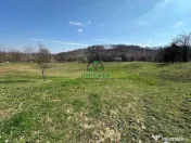 Teren Govora / 8131mp 