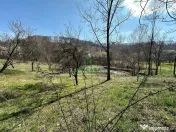 Teren Govora / 8131mp 