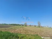 TEREN INTRAVILAN | 4300 MP | HIDISELUL DE SUS | BIHOR 