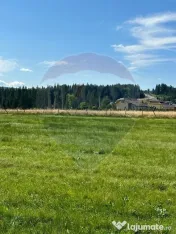 Teren parțial intravilan 30,930 mp Poiana Stampei-DN E58... 
