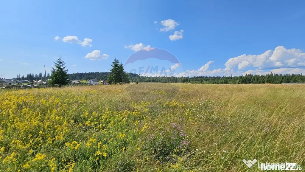 Teren parțial intravilan 30,930 mp Poiana Stampei-DN E58...