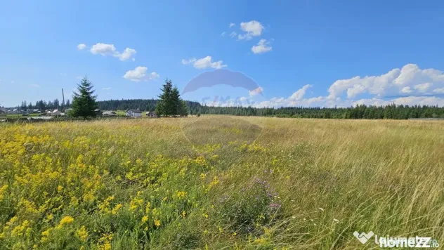 Teren parțial intravilan 30,930 mp Poiana Stampei-DN E58...