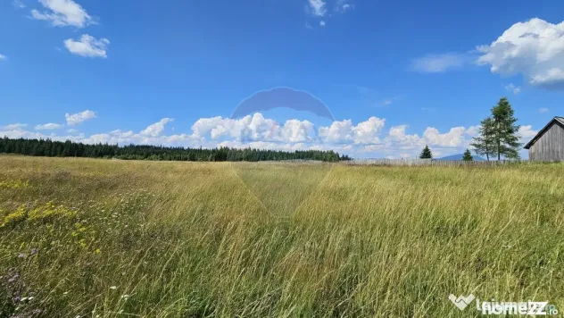 Teren parțial intravilan 30,930 mp Poiana Stampei-DN E58...