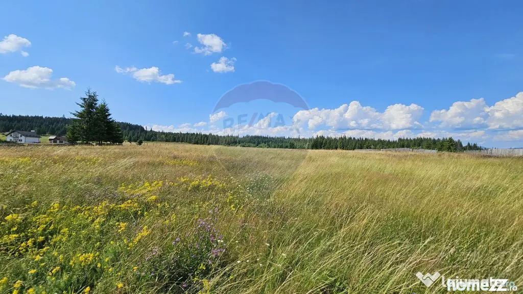 Teren parțial intravilan 30,930 mp Poiana Stampei-DN E58...