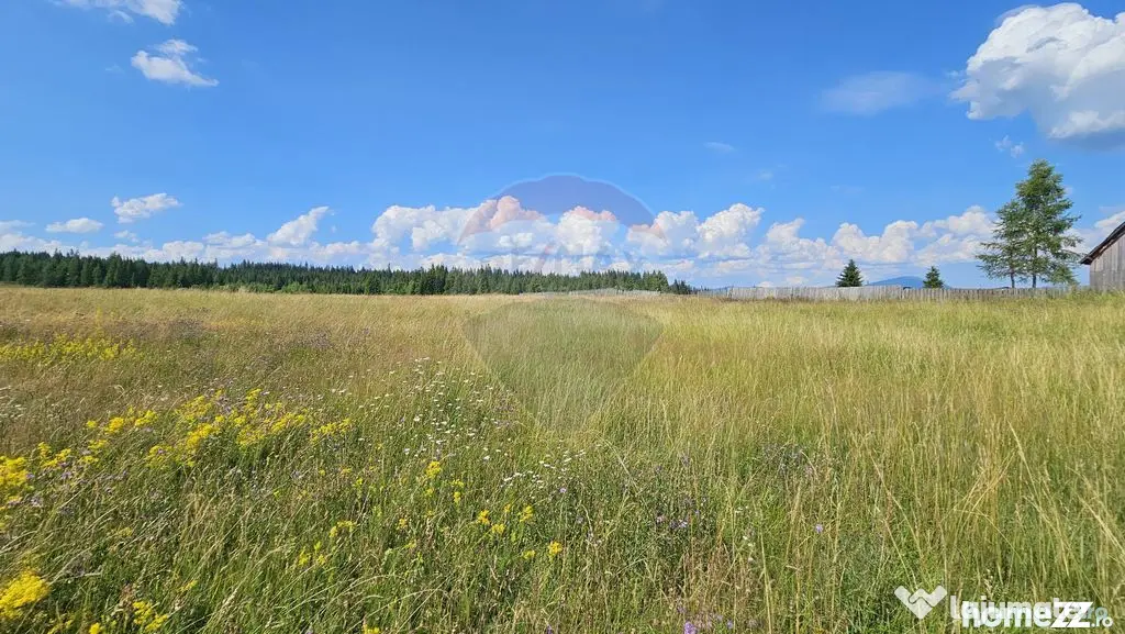 Teren parțial intravilan 30,930 mp Poiana Stampei-DN E58...