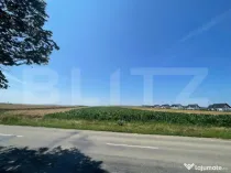 Teren Intravilan, 10300 mp, zona Mitocului