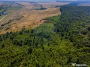 Teren 6,000mp Crizbav / Strada principala 